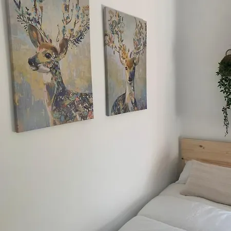 Apartamento Terraza